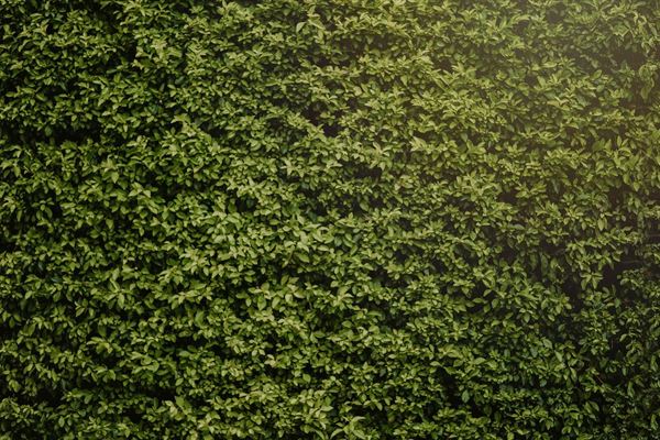 Find den rette høhæk til dine behov hos Dan Egtved