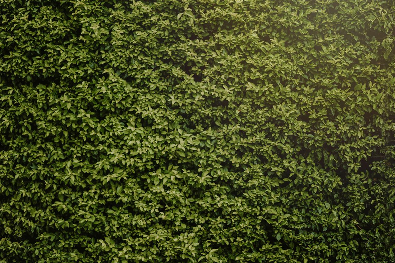 Find den rette høhæk til dine behov hos Dan Egtved