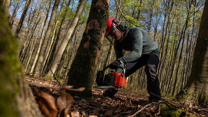 Træfældning snekkersten - sådan sikrer du professionel hjælp til dine træer