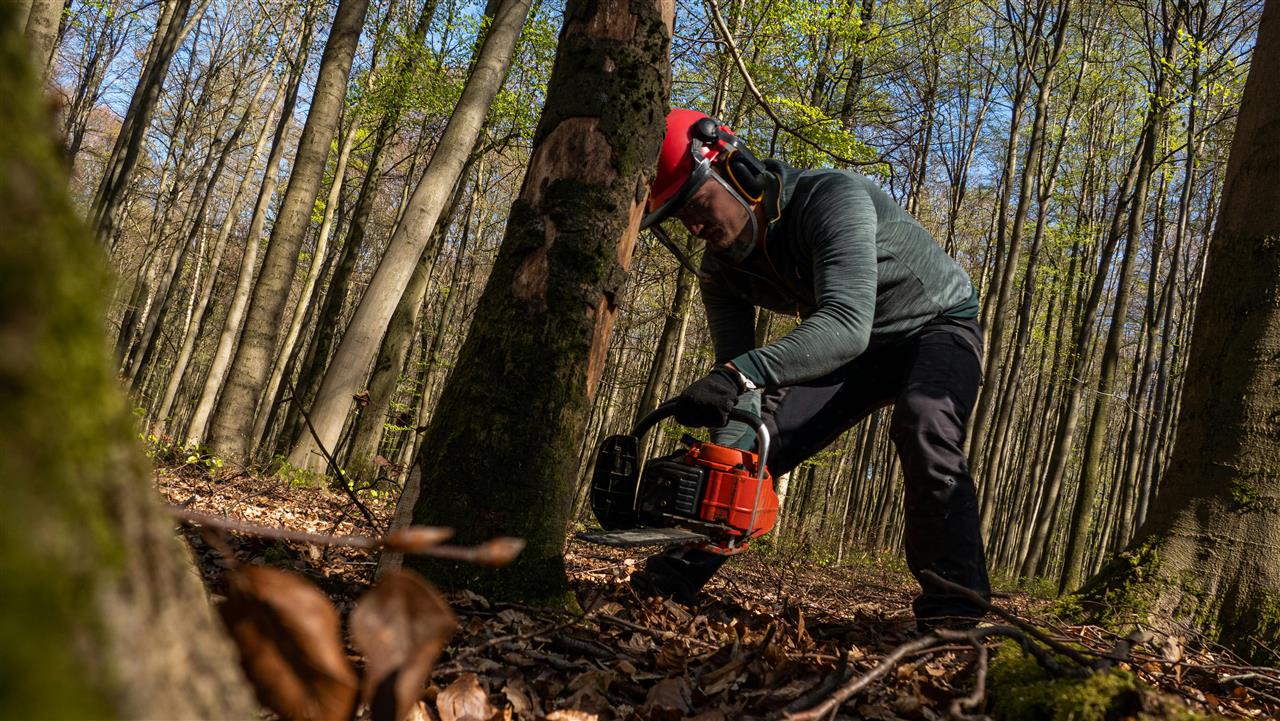 Træfældning snekkersten - sådan sikrer du professionel hjælp til dine træer